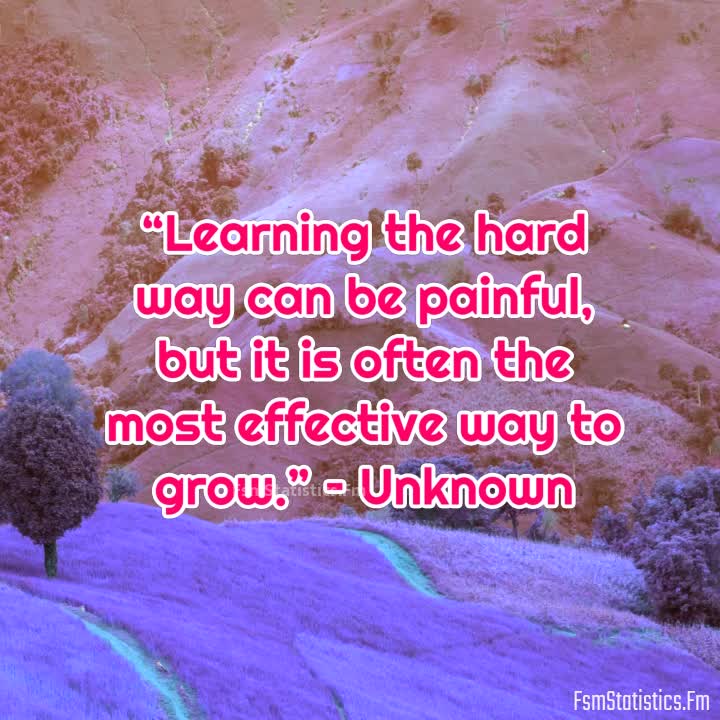 TOP 25 LEARNING THE HARD WAY QUOTES